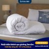Ruột chăn khách sạn giường 2mx2m cao cấp, giá cả cạnh tranh